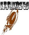 kamikazes