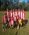 Once unidos