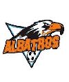 Albatros