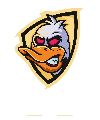 LICPUSA PATOS FEOS FC