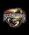 LICPUSA SCORPIONS FC