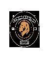 LIONS OF GOD