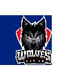 PGS PR WOLFS UNITED