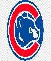 Cachorros