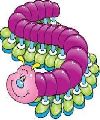 Ciempiés