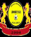C.D BORUSSIA