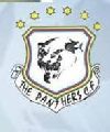 The Panthers F.C.