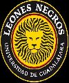 Leones Negros