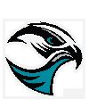 Falcons