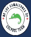 2B+2G. lOS CAMALEONES COLPBOL TEAM
