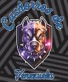 CACHORROS