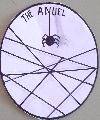 The Anuel Spiders