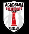 ACADEMIA BALONMANO HORADADA