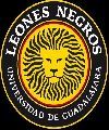 Leones Negros
