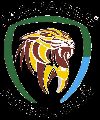 jaguares
