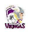 VIKINGAS