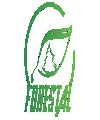 3ro Forestal 'A'