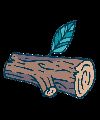3ro Forestal B