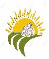 1 Agropecuario A