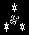 D Imagey Nation