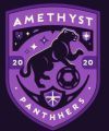 Amethyst Panthers