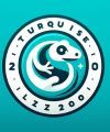 Turquise Lizards