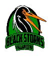 Villanueva Black Storks