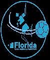 HANDBOL FLORIDA