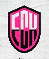 FC Killas