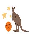 Star Kangaroos