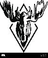 White West Moose