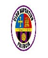CD Palencia
