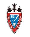 UD Rayo Ibense