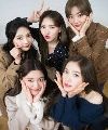 Red Velvet
