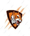 Tigres