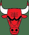 Chicago Bulls