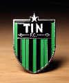 TIN