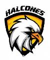 Halcones