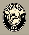 Tejones CFD