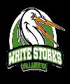 Villanueva White Storks