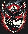 Eryndor Falcons