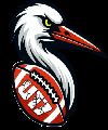 Villanueva Black Storks