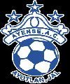 Club Deportivo Ayense