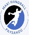 Maxi Handball