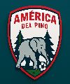 America Del Pino