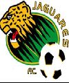 JAGUARES