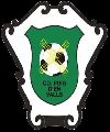 CD Puig d'en Valls