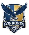 Cóndores