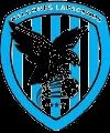 Halcones