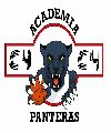 PANTERAS C4